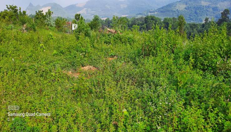 Chủ gửi bán 140ha đất Rsx có suối và view đẹp Tại Kim Bôi - Hòa Bình